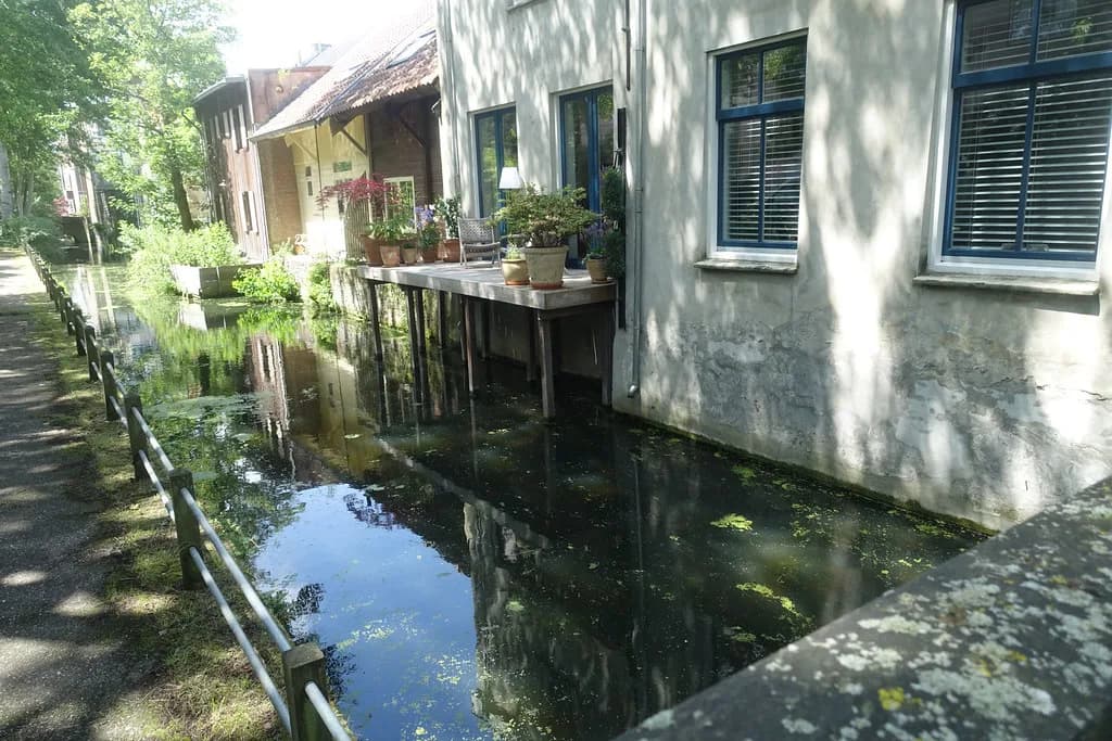 Archipelbuurt, The Hague: A Neighbourhood Guide for Visitors