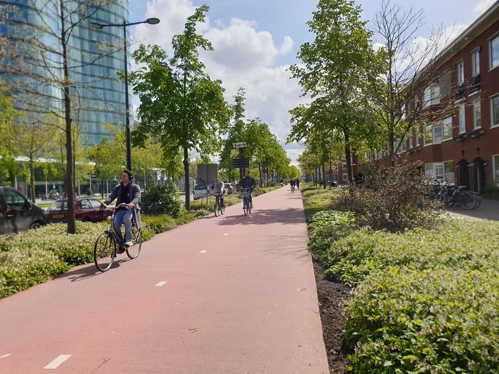 Cycle Routes in the Netherlands: Day Rides and How the Network Works
