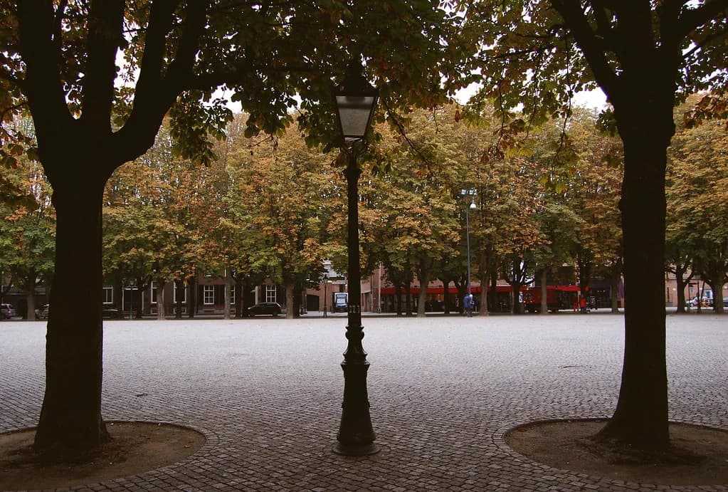 Den Bosch Canals: Binnendieze Boat Tours and Canal Walks
