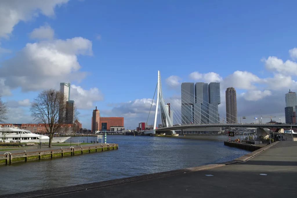 Erasmus Bridge Rotterdam: Walking It, Crossing It and What's Nearby