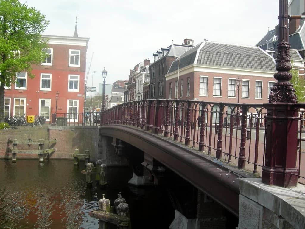 Haarlem Events: What's On and How the Calendar Works