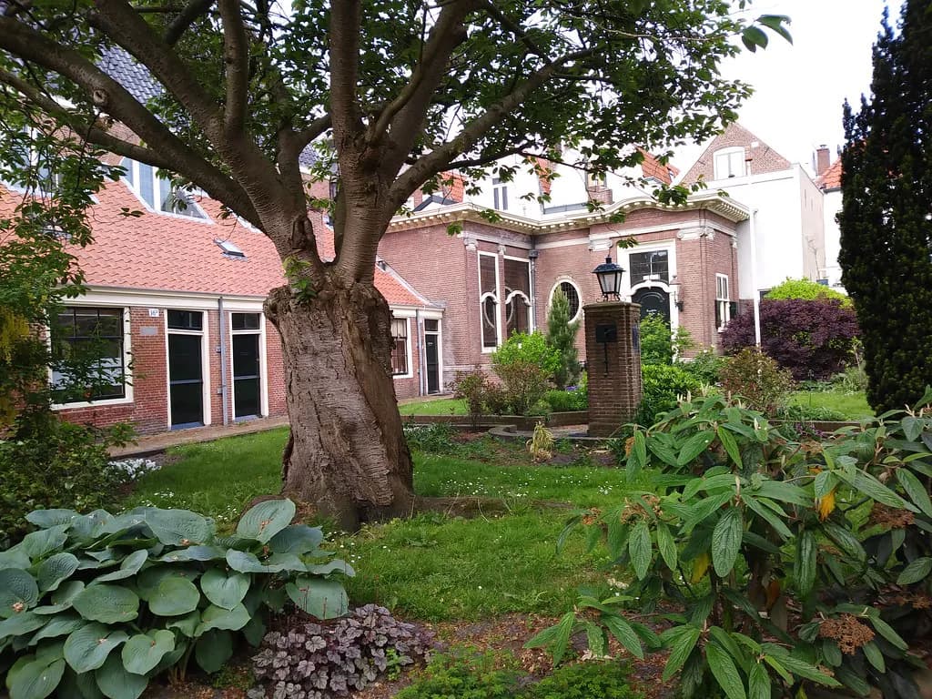 Haarlem Hofjes: The Almshouse Courtyards You Can Visit