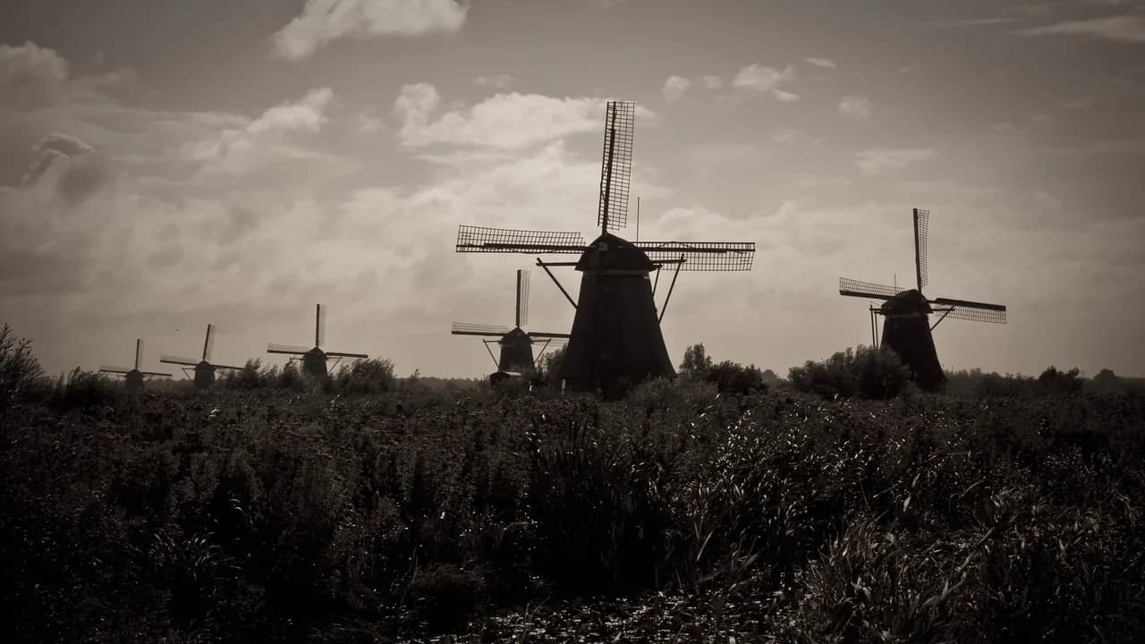 Kinderdijk from Rotterdam: How to Get There and What to See