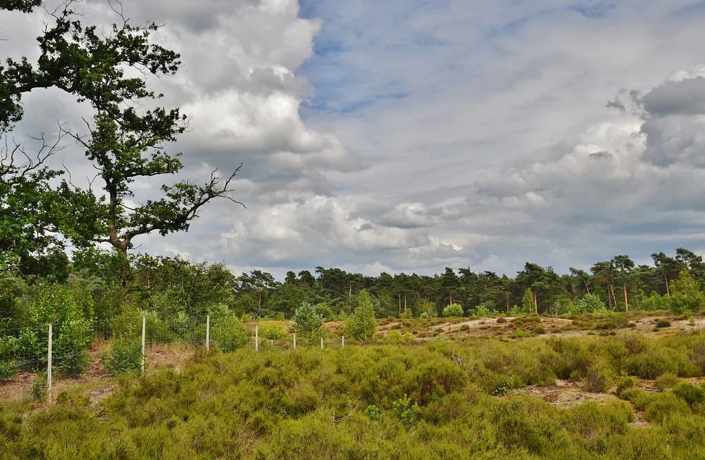 The Netherlands in August: Weather, Crowds and Where to Go