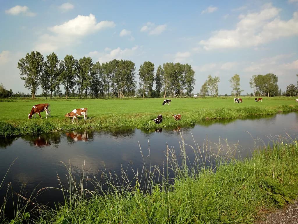 The Netherlands in June: Weather, Daylight and Where to Go