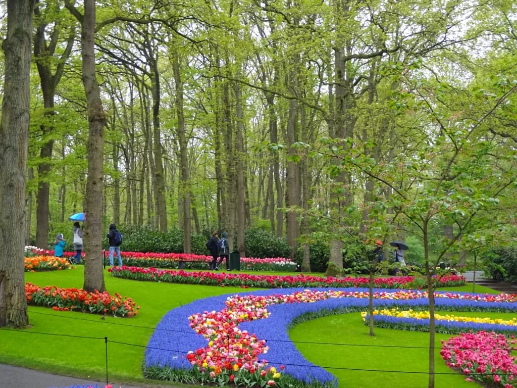 Netherlands in Spring: When to Go, Tulips and What's On