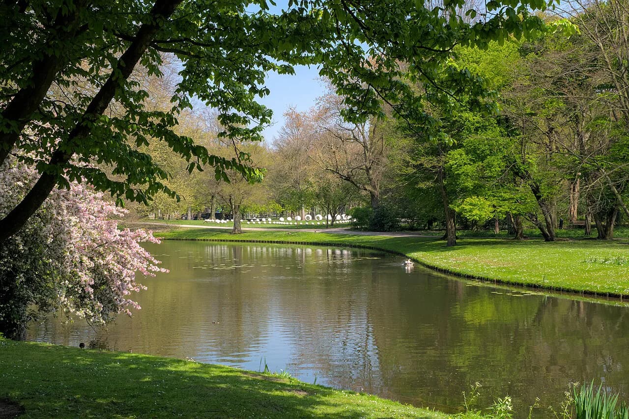 One Day in Rotterdam: A Realistic Walking Itinerary