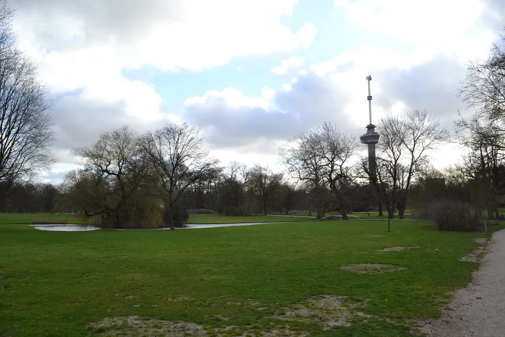 Rotterdam Parks: The Green Spaces Worth Your Time