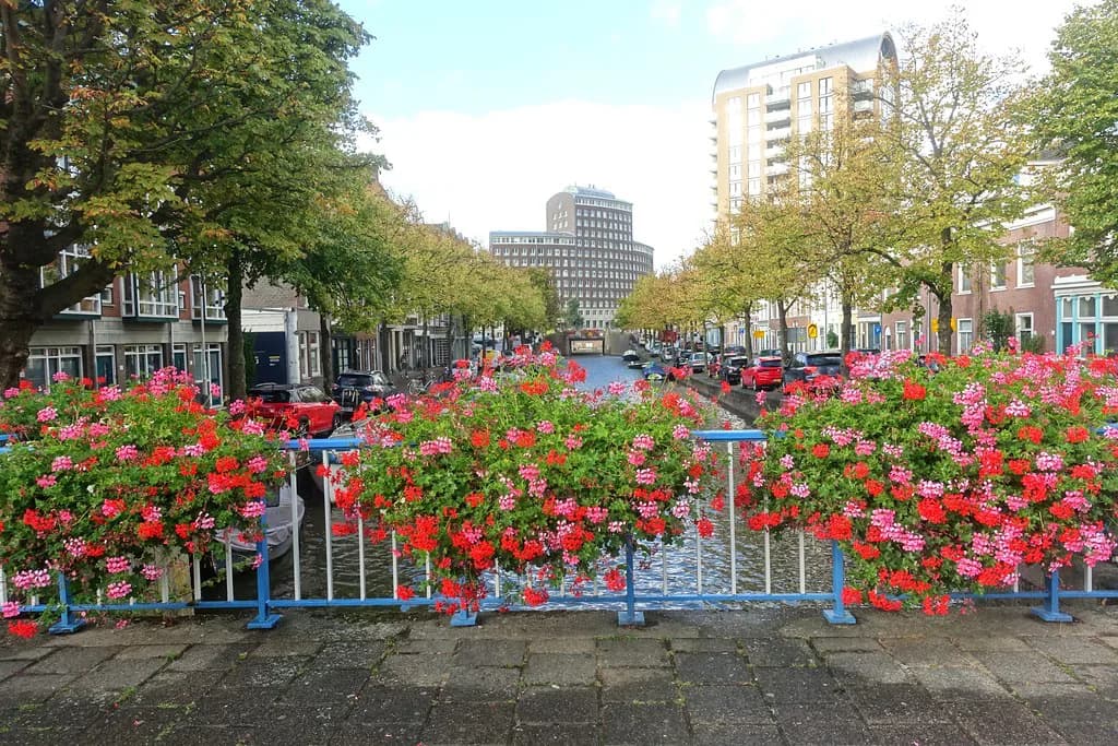 The Hague Canals: Walking Routes, Canal Cruises and Boat Hire
