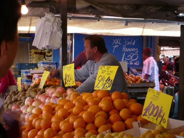 The Hague Market: The Haagse Markt and What to Expect