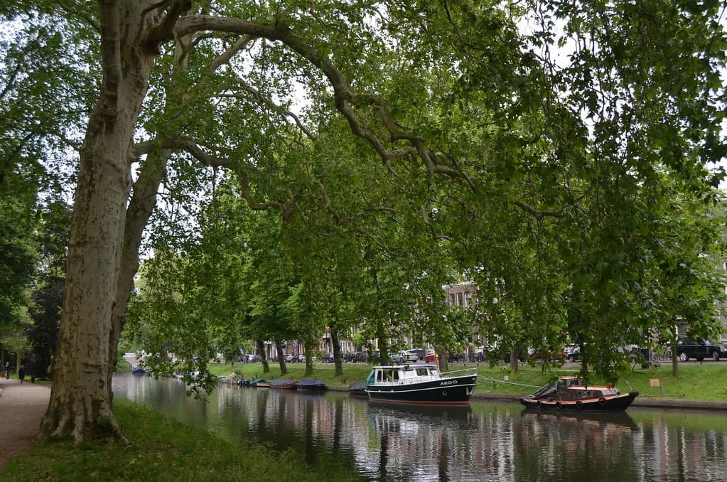 Utrecht in April: Weather, What's On and How to Spend the Days