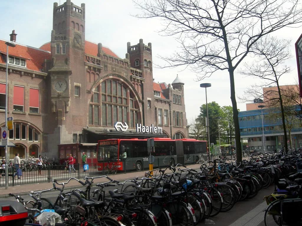 Free Things to Do in Haarlem: A Candid Shortlist
