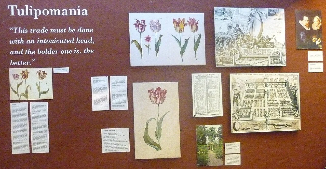 A Tulipomania display in the Amsterdam Tulip Museum.