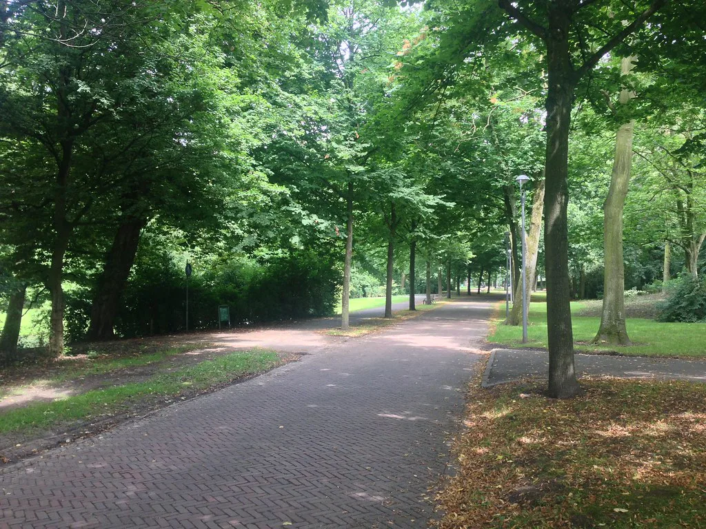 A path through Het Park, Rotterdam.