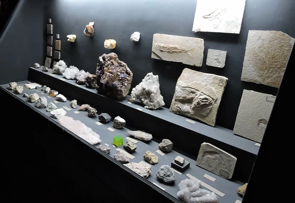 Fossils in Teylers Museum, Haarlem.
