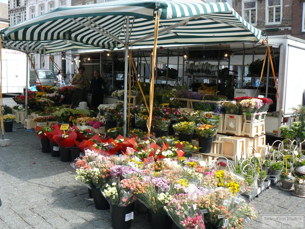 A flower stall on the Markt, Den Bosch.