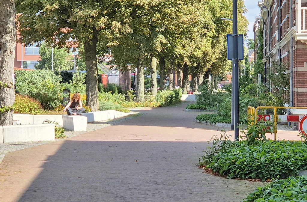 A low-traffic street in Den Bosch.