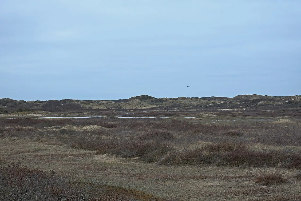 The Vogelmeer in Zuid-Kennemerland National Park near Haarlem.