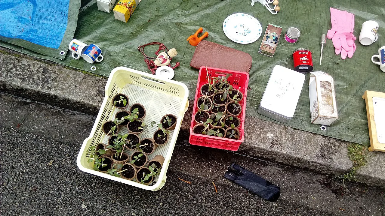 A King's Day free market in Groningen.