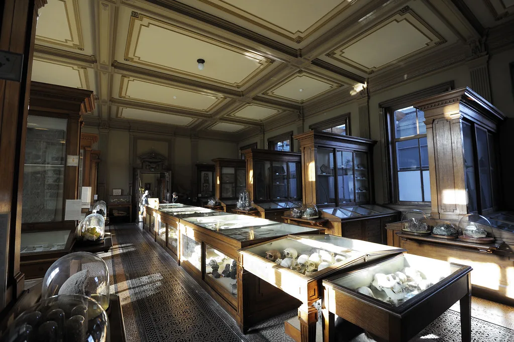 The fossil room of Teylers Museum, Haarlem.