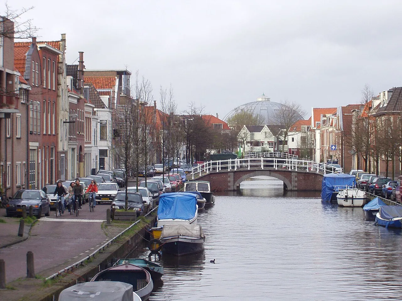 Moored boats on the Burgwal, Haarlem.