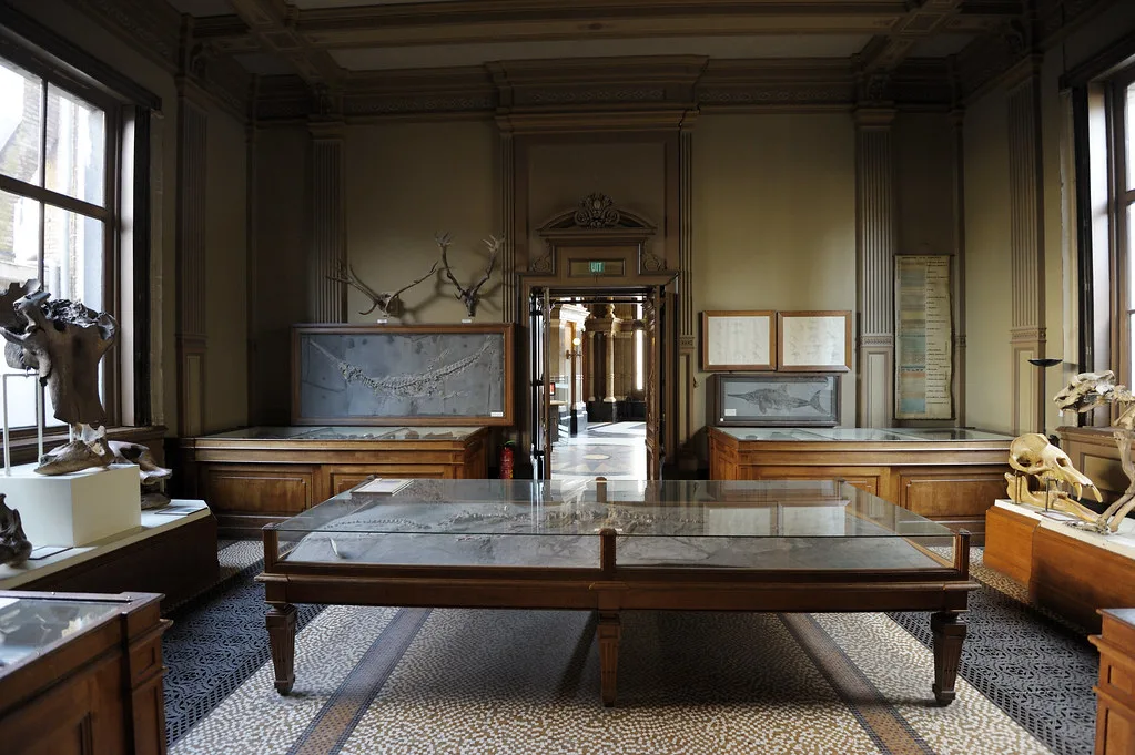 The fossil room of Teylers Museum, Haarlem.