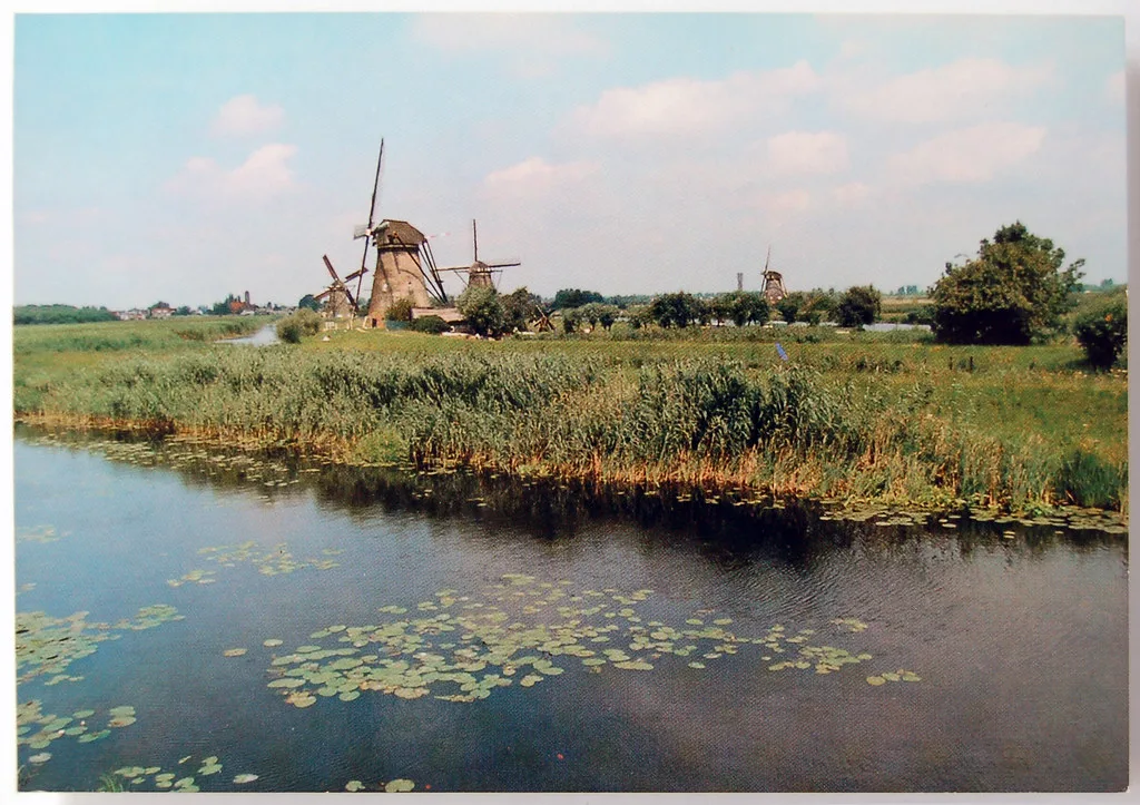 Windmills at Kinderdijk in an early colour postcard.
