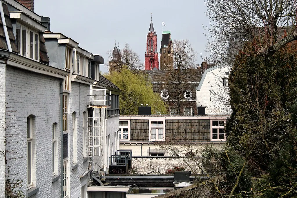 Rooftops and a church tower in Maastricht.