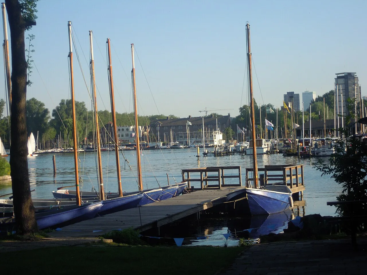 Sailing boats on the Kralingse Plas, Rotterdam.