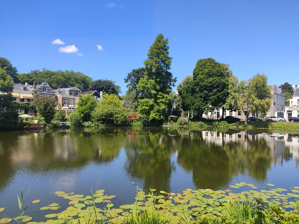 A pond in Kralingen, Rotterdam.