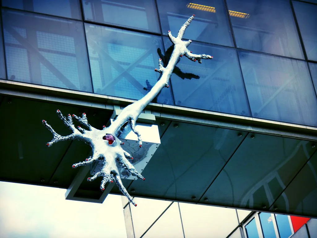 A neuron artwork at Maastricht University.