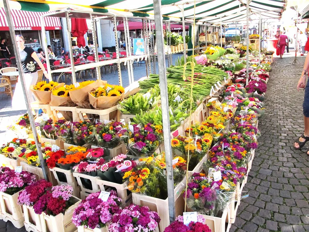 Flower stalls on the Markt, Maastricht.