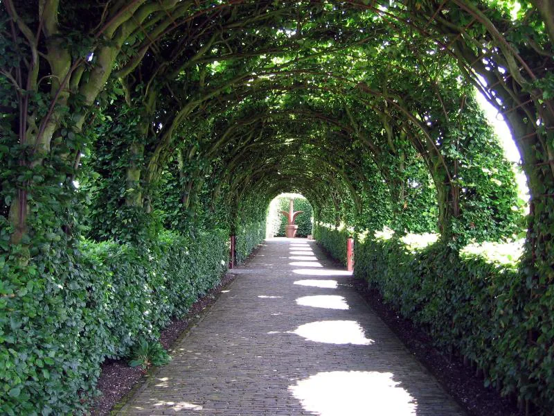 A shaded garden walk at Muiderslot.