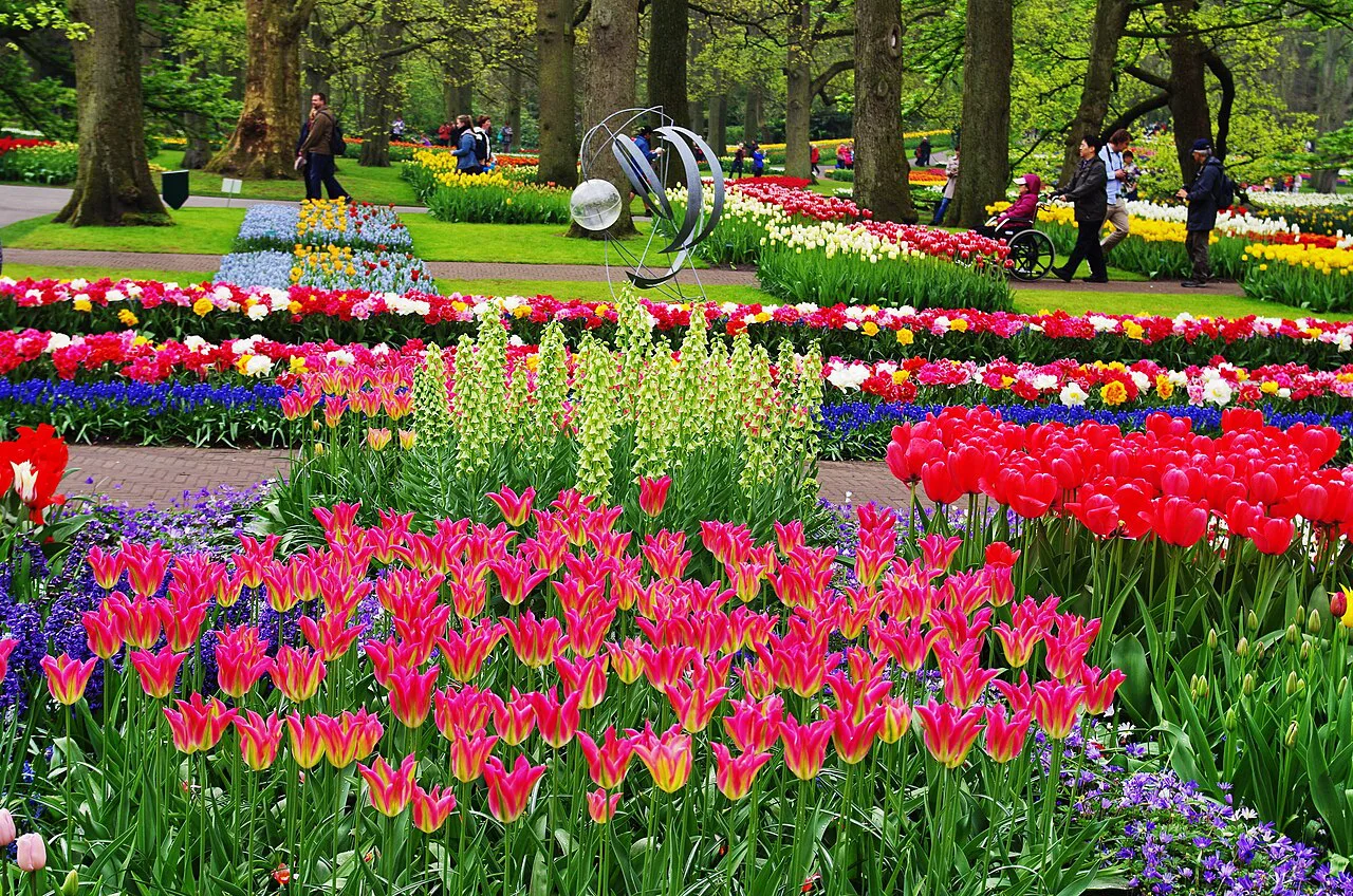 Tulip beds at Keukenhof.