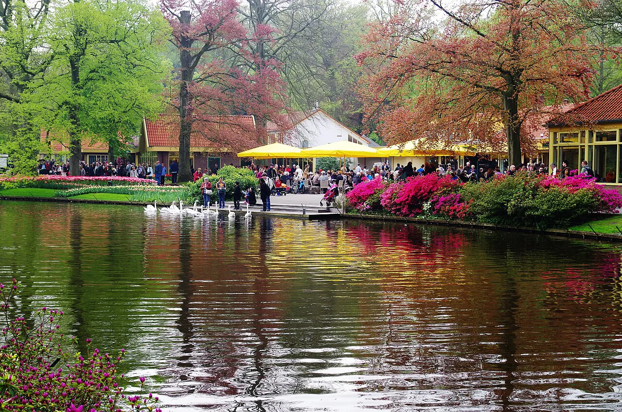 A pond and flowering trees at Keukenhof.