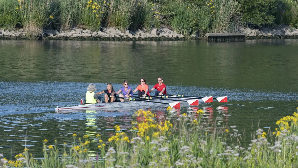 Rowers on a Dutch river on a summer evening.
