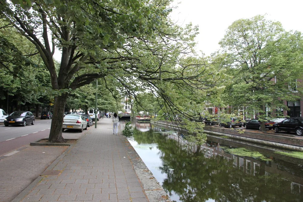 A canal in The Hague in summer.