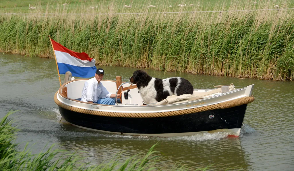 A small boat with the Dutch flag on a canal in summer.