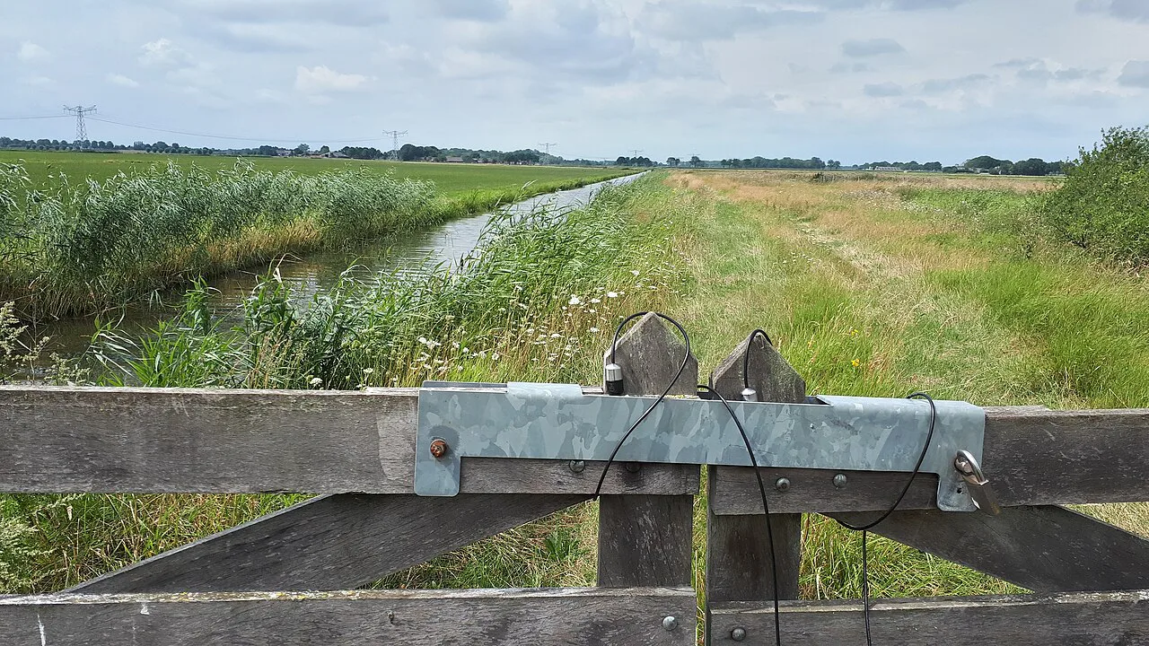 A polder near Engelen, outside Den Bosch, in summer.