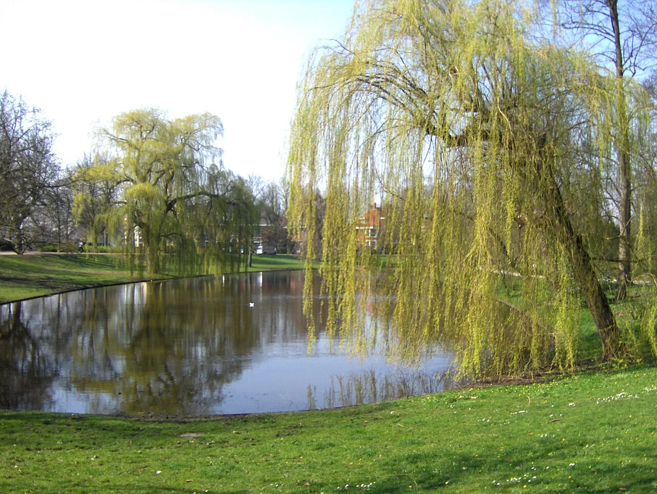 A pond in the Noorderplantsoen, Groningen.