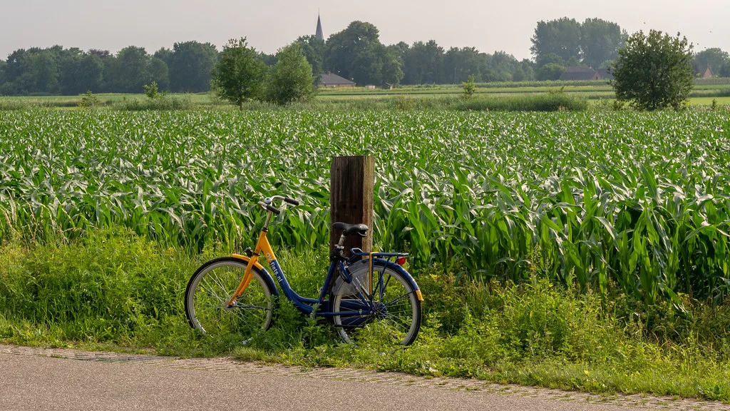 A bicycle parked beside a field in the Dutch countryside.
