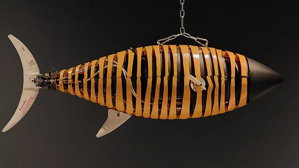 A model tuna fish in the Design Museum Den Bosch.
