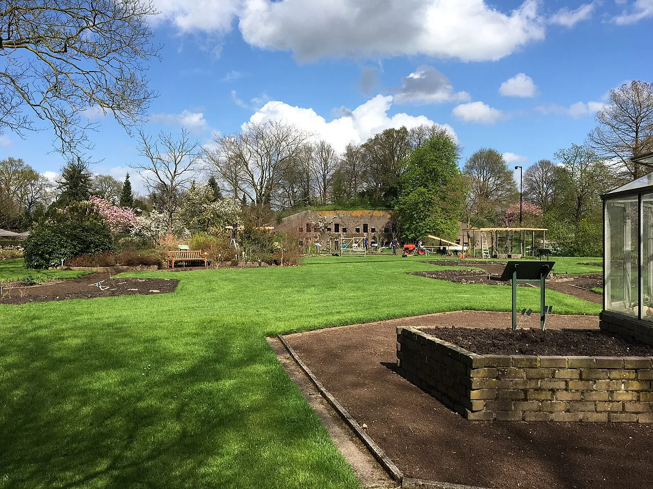 A lawn and garden beds in the Botanic Gardens, Utrecht.