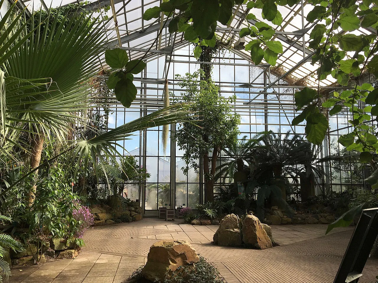 A glasshouse in the Botanic Gardens, Utrecht.