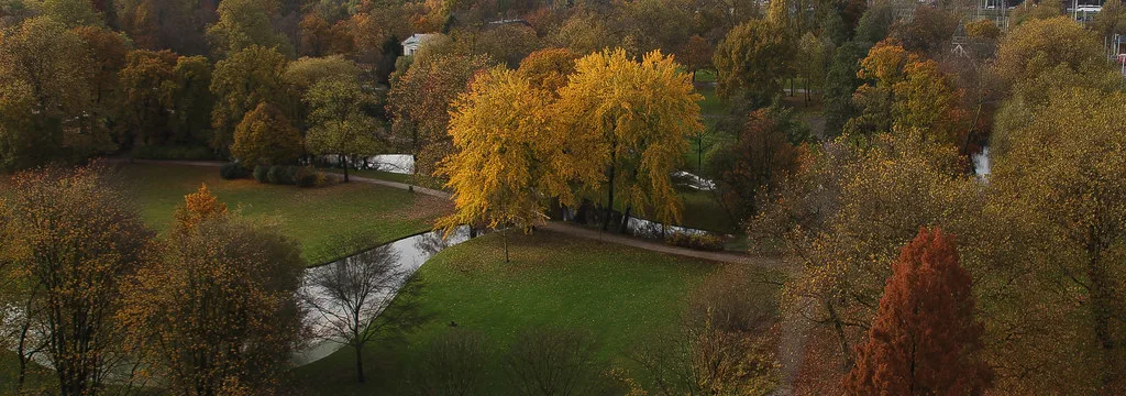 Autumn trees in a Rotterdam park.