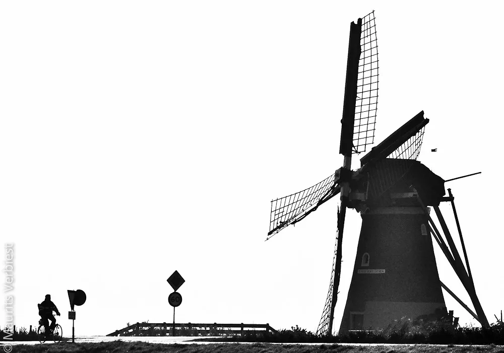 A Dutch windmill in silhouette beside a cycle path.